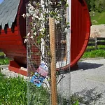 Saghäusl Ferienhaus