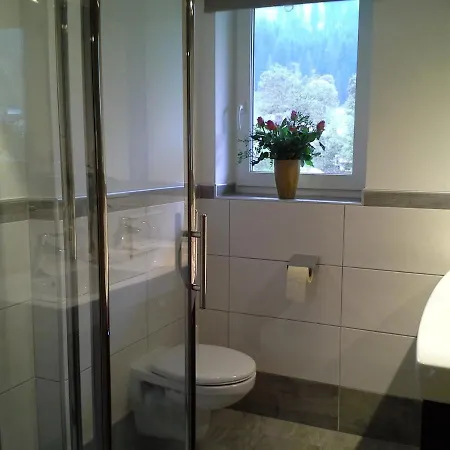 Casa vacanze Saghaeusl Mitterkleinarl