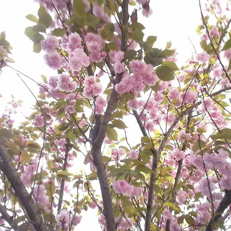 Saghaeusl Hébergement de vacances Mitterkleinarl