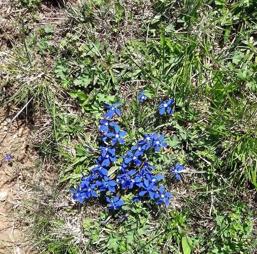 Σπίτι διακοπών Saghaeusl Mitterkleinarl