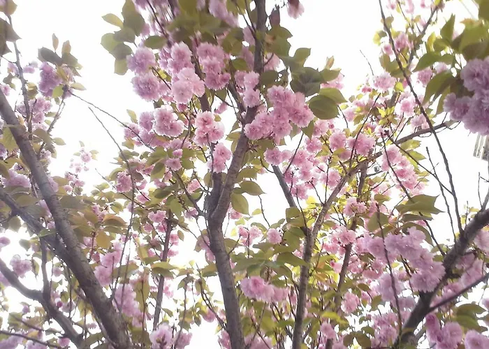 Saghaeusl Σπίτι διακοπών Mitterkleinarl